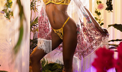 Demi Sutra - Pornstars Like It Big